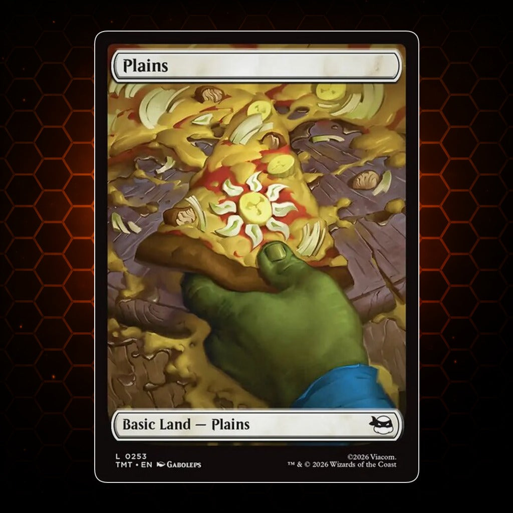 Plains Teenage Mutant Ninja Turtles product image