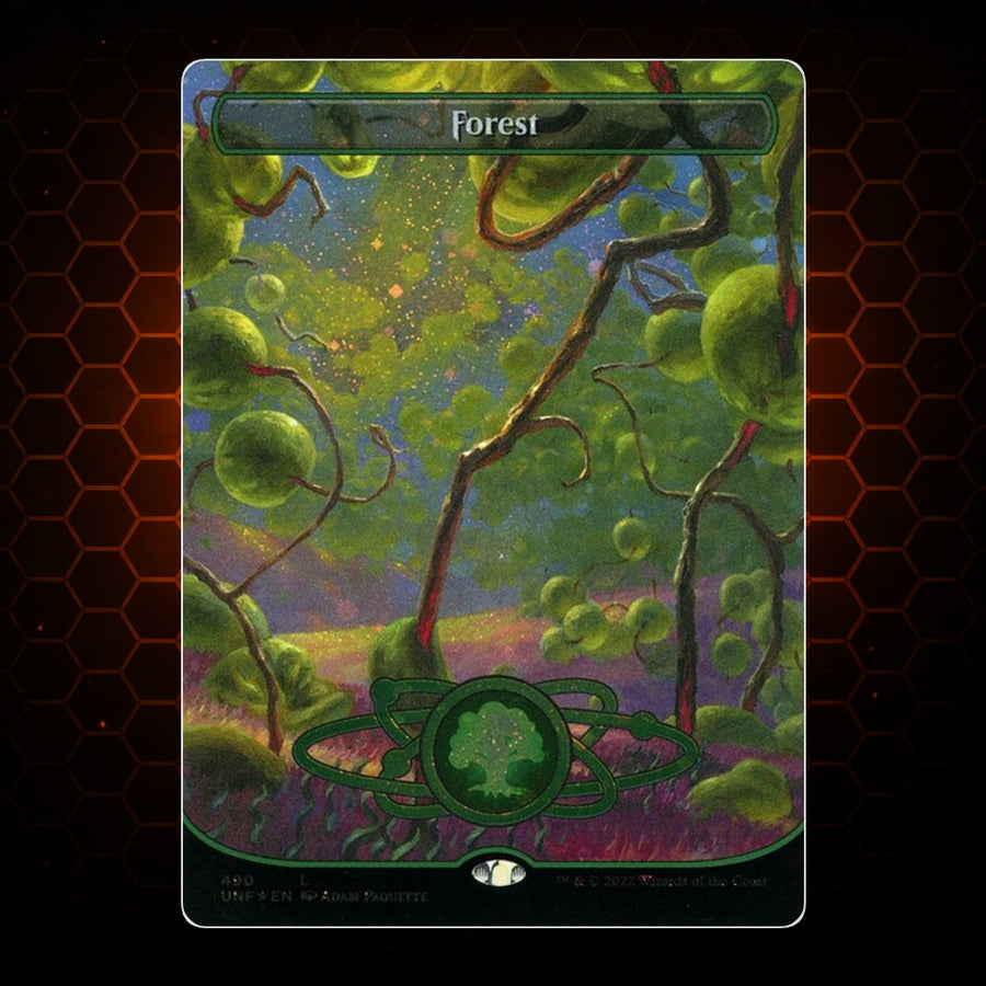 Forest Unfinity product image