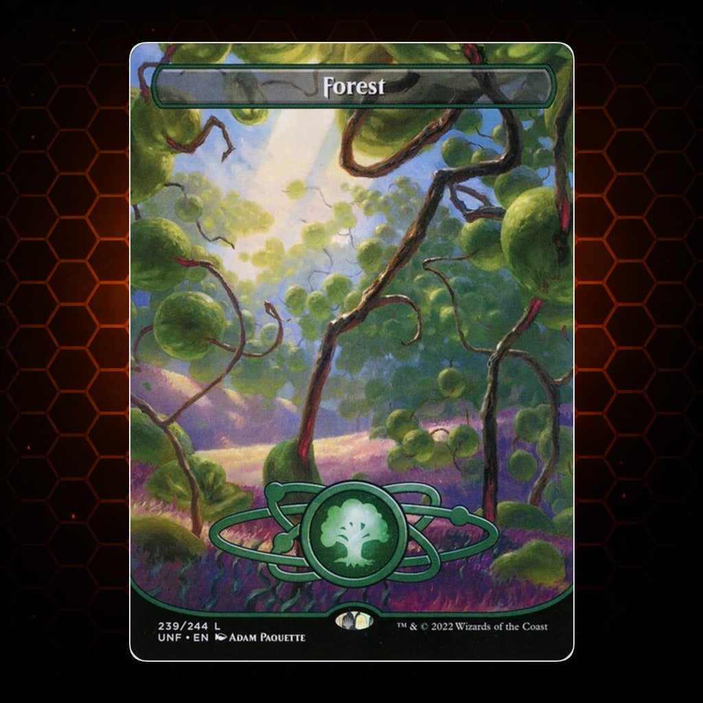 Forest Unfinity product image