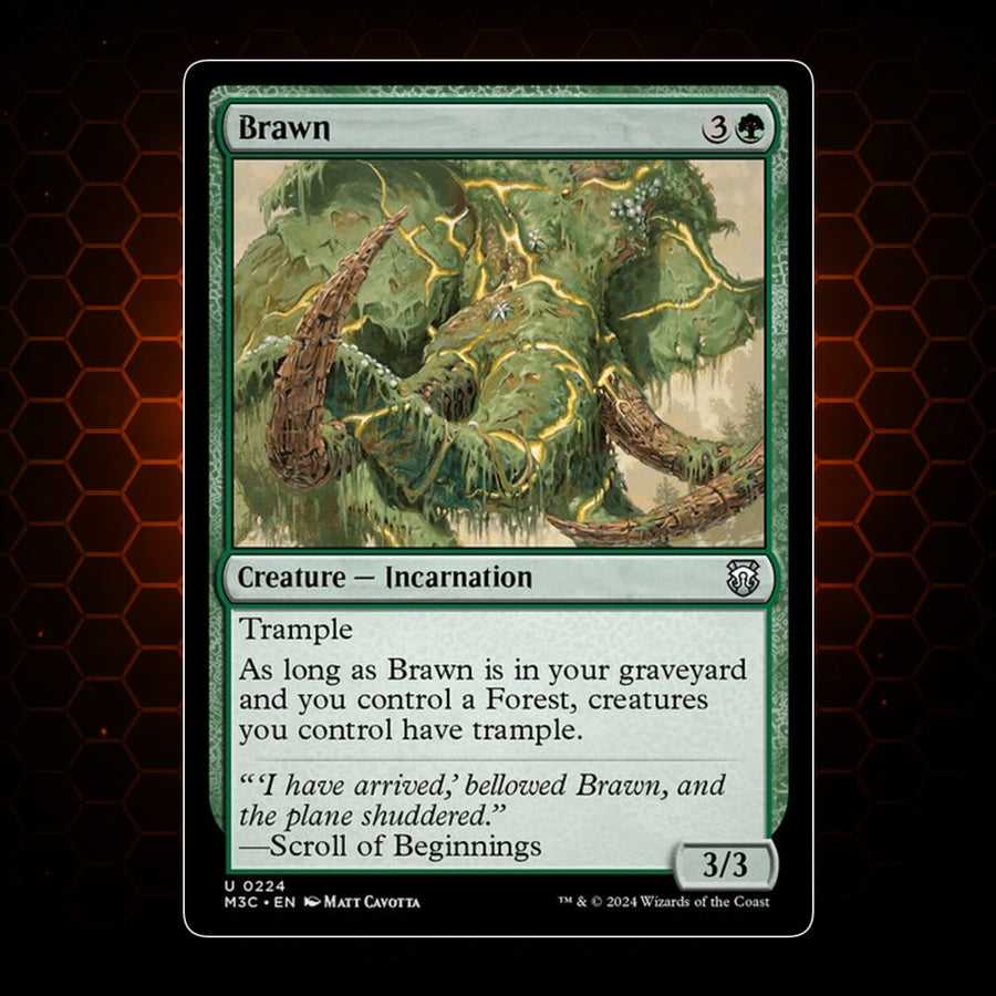 Brawn Modern Horizons 3 Commander product image